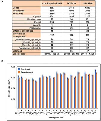 Elucidating the impact of in vitro cultivation on Nicotiana tabacum metabolism through combined in silico modeling and multiomics analysis